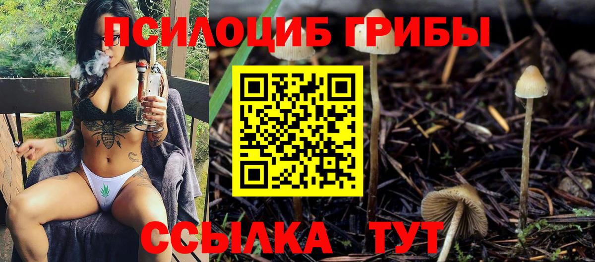 Галлюциногенные грибы Psilocybe  Вход с VPN  Галлюциногенные грибы GOLDEN TEACHER  Ипатово 