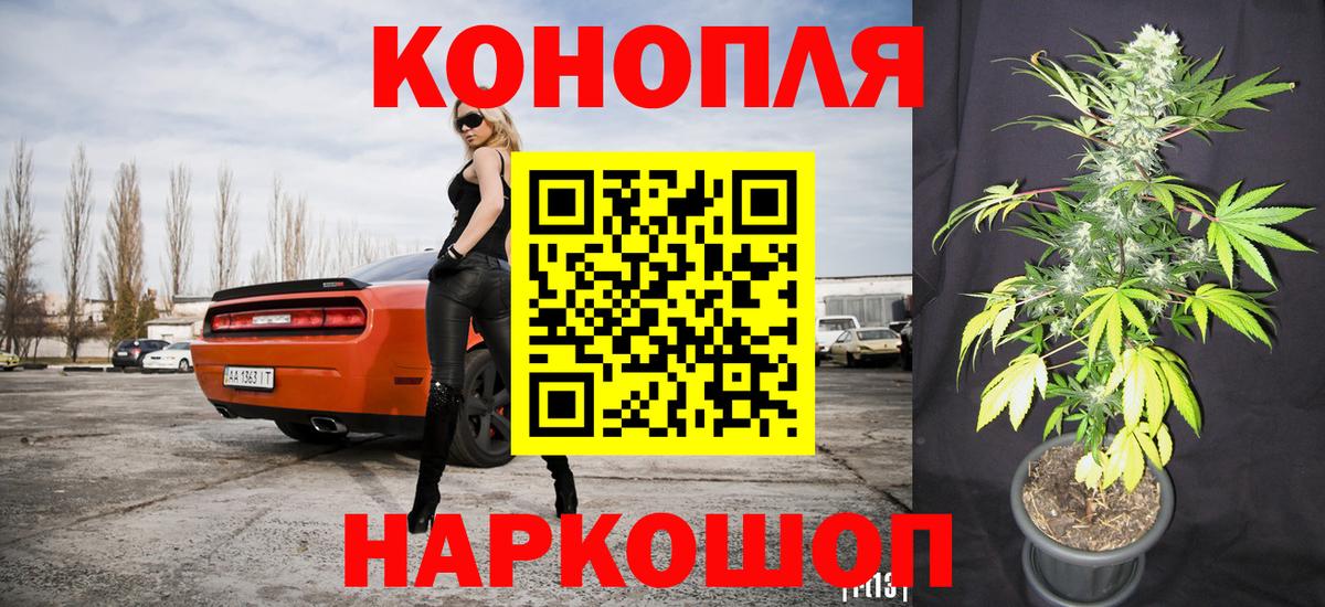 Бошки марихуана сатива  Каннабис тримм  Канабис гибрид  Вход с VPN  Ипатово 
